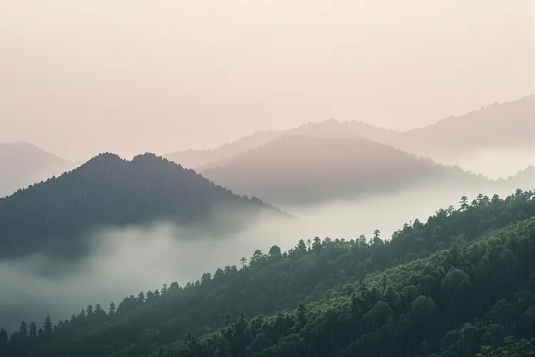 雨润山青 - 玖月影视专题合集